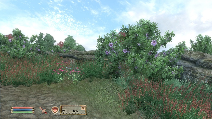 美しい野生植物（The Elder Scrolls 4 Oblivionプレイ日記）